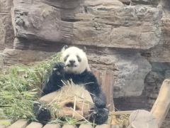 -石家庄市动物园