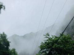 -黑河国家森林公园