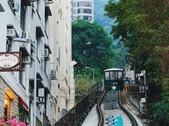-太平山顶