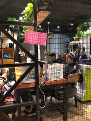-藤野造型