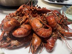 -苏宁广场·城市奥特莱斯(天府立交店)