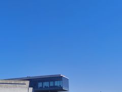 -涉地可支