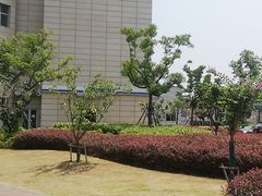 -复旦大学附属华山医院(虹桥院区)