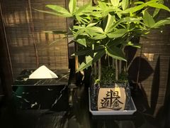 -新偶像健康汇•水疗SPA•豪华自助餐(世界城店)