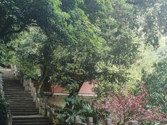 -叠彩山景区