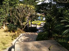 -广州国际生物岛山地公园揽胜园