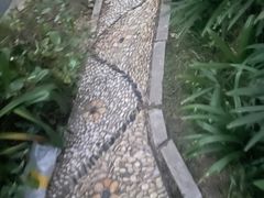 -人民公园(罗湖区)