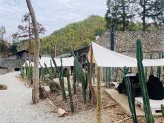 -MOJ coffee(瓯海泽雅水碓坑店)