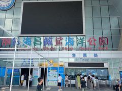 -烟台海昌鲸鲨海洋公园