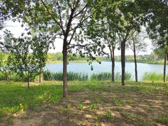 -东郊湿地公园