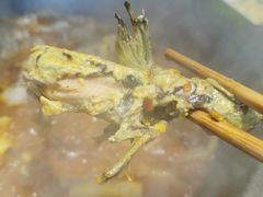 -石锅苗苗鱼(武汉首店)