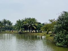 -白沙门生态公园