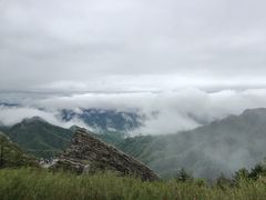 -朱雀国家森林公园