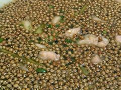 -泡桐树孙二娘私房菜