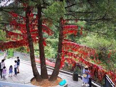 -苍山感通索道