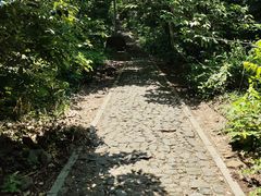 -大蜀山国家森林公园