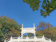 -紫金山山顶公园