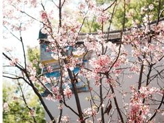 -乌山风景区