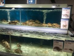 水产区-盒马鲜生(岭南新世界店)