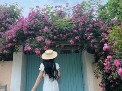 -三圣花乡旅游区