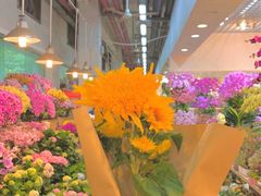 -双季花艺园艺市场(浦东店)
