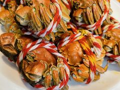 -张烤鸭·川菜·非遗冒烤鸭(青石桥店)