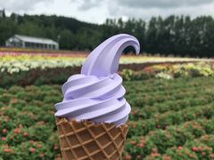 -富田农场