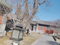 -恭王府博物馆