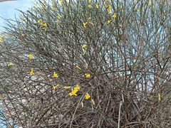 -曲江惠宾苑宾馆(大雁塔大唐不夜城店)