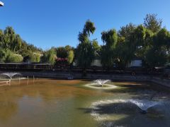 -尚庄度假村·庭台树下·户外烧烤·团建CS·轰趴营地(上庄水库店)