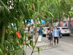 -奎星楼街