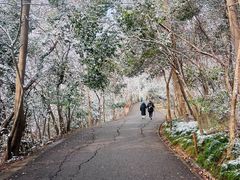 -紫金山山顶公园