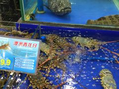 -东江海鲜酒家(艺都分店)