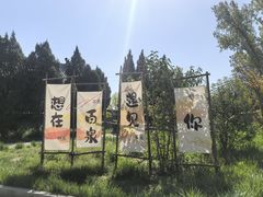 -百泉景区
