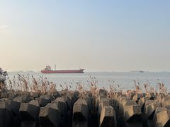 -上海滨江森林公园