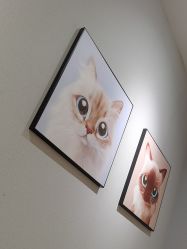 -洗脸猫·洗脸吧