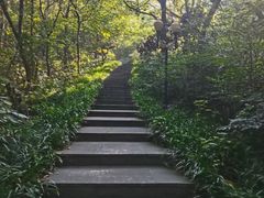 -句容茅山景区