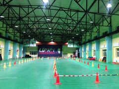 -长春乐奇平衡车儿童体能运动中心