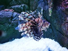 -成都浩海立方海洋公园