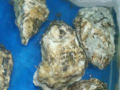 -晓伟海鲜家常菜