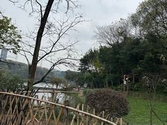 -重庆彩云湖湿地公园
