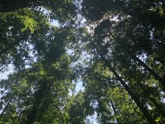 -南京金牛湖风景区