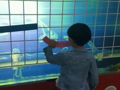 -陕西科学技术馆