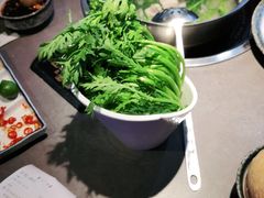 -同仁四季椰子鸡(宝安壹方城店)