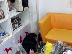 -暖阳宠物医院·犬猫康复中心·骨科