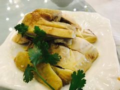 -锦江中华村农家乐饭庄