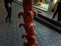 老长沙大香肠-黑色经典臭豆腐·湖南特产(坡子街店)