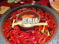 鸳鸯锅-蓉城老妈火锅(双林路店)