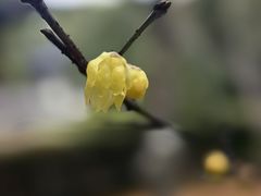 -O2鲜榨果汁(苏州龙湖狮山店)