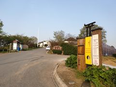 -大塘金香草谷